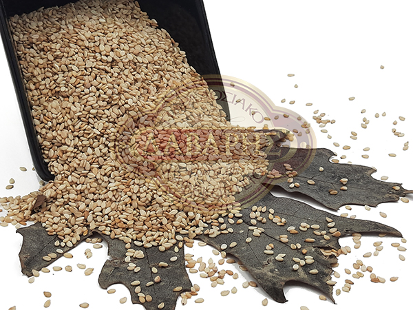 02003 - SOYSAMI-FISIKO