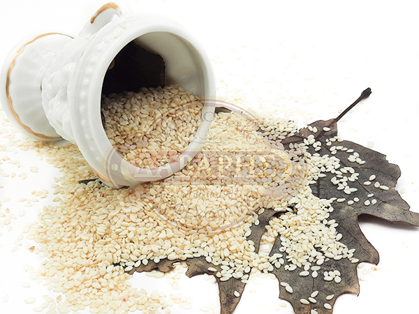 02004-SOUSAMI-APOFLIOMENO