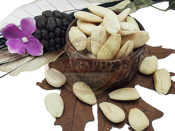 02017-AMIDGALOPSIXA-LEYKI