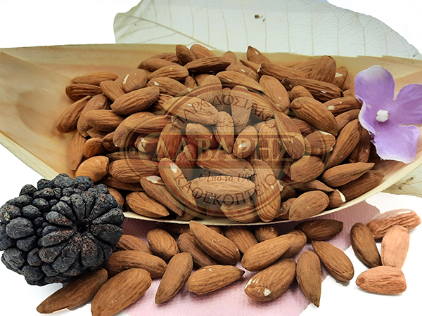 02022-AMIGDALOPSIXA-TEXAS-RETSOUS