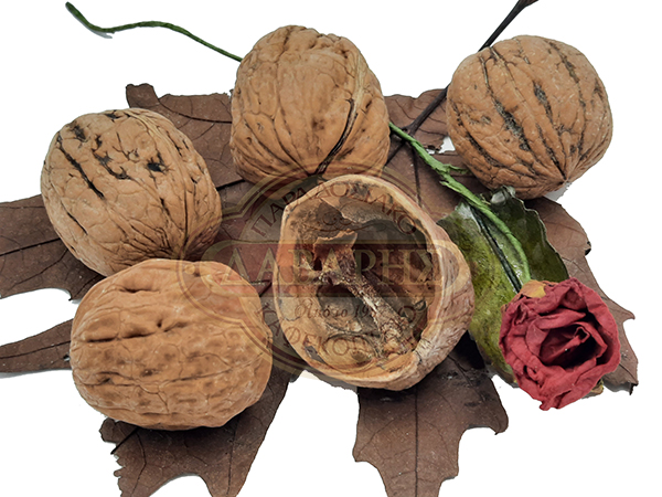 02025-KARIDI-OLOKLIRO