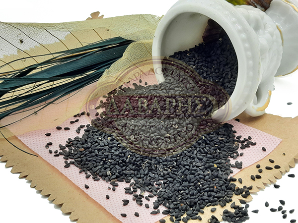 02026-SOUSAMI-MAYRO-MAUROKOUKI