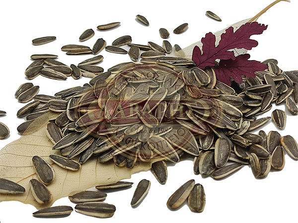 02053-ILIOSPOROS-KAVOURDISMENOS