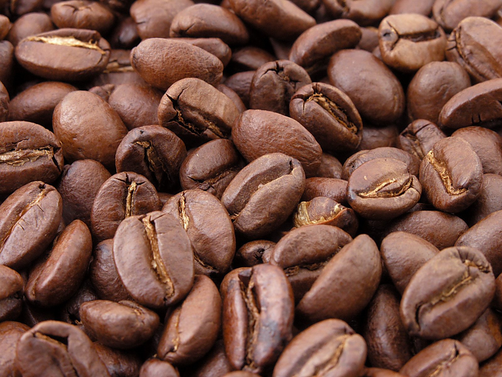 NESCAFE