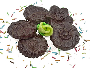 Σοκολατοειδή