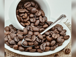 Φρεσκοκομμένος Καφές Arabica